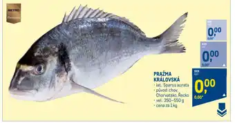 Makro PRAŽMA KRÁLOVSKÁ nabídka