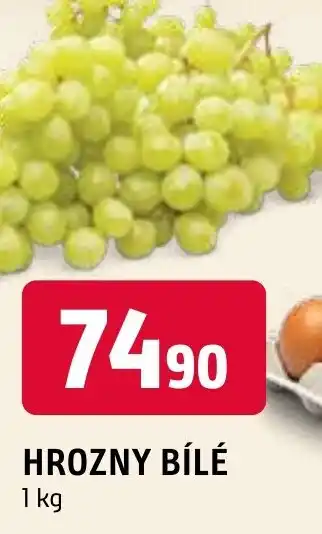 Terno HROZNY BÍLÉ nabídka