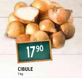 Terno CIBULE 1 kg nabídka