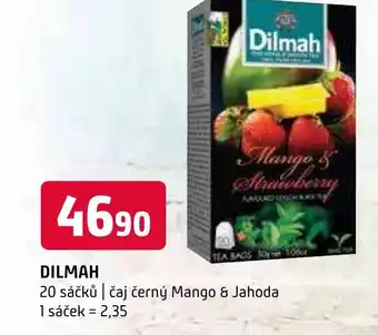 Terno DILMAH nabídka
