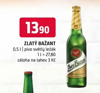 Terno ZLATÝ BAŽANT 0.5L nabídka