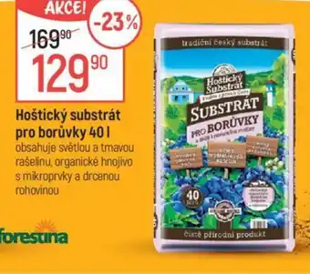 Globus Hoštický substrát pro borůvky 40L nabídka