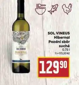 Billa Sol vineus hibernal nabídka