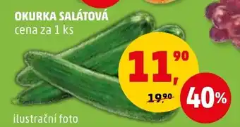 Penny Market OKURKA SALÁTOVÁ nabídka