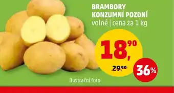 Penny Market BRAMBORY KONZUMNÍ POZDNÍ nabídka
