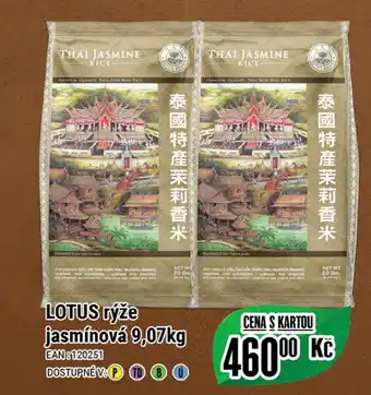 Tamda Foods LOTUS rýže jasmínová 9,07kg nabídka