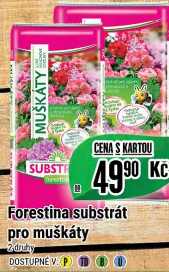 Forestina substrát pro muškáty