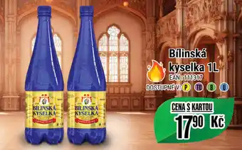 Tamda Foods Bílinská kyselka 1L nabídka