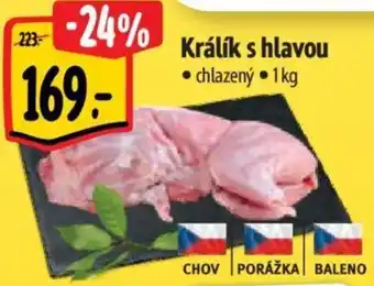 Albert Králík s hlavou nabídka