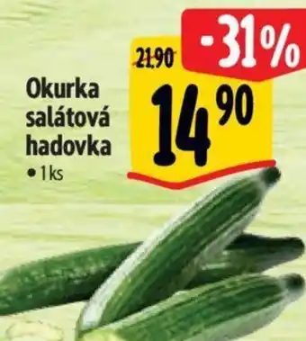 Albert Okurka salátová hadovka nabídka