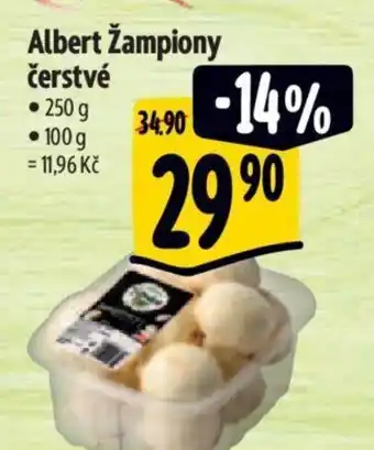 Albert Albert žampiony čerstvé nabídka