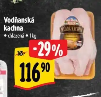 Albert Vodňanská kachna nabídka