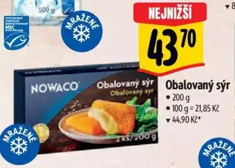Albert Obalovaný syr nabídka