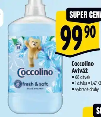 Albert Coccolino Aviváž nabídka