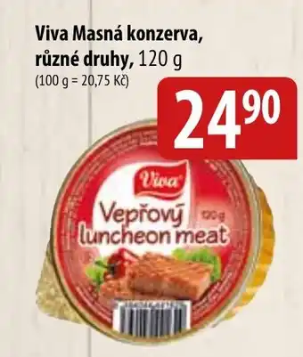 Viva Masná konzerva, různé druhy, 120 g
