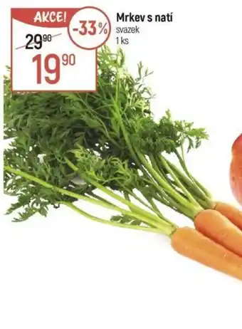 Globus Mrkev s natí nabídka