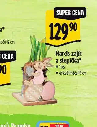 Albert Narcis zajíc a slepička nabídka