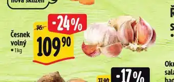 Albert Česnek volný nabídka