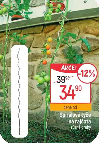 Globus Spirálové tyče na rajčata nabídka