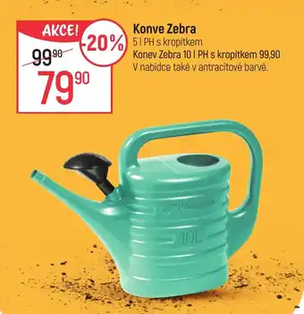 Konve Zebra