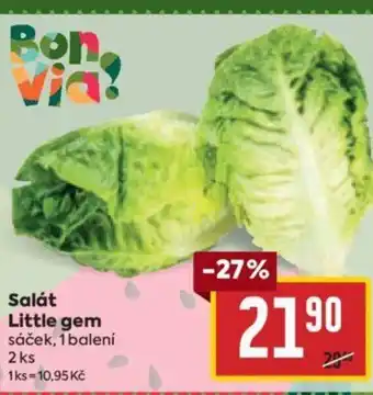Billa Salát Little gem nabídka