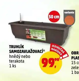 Penny Market Truhlík samozavlažovací nabídka