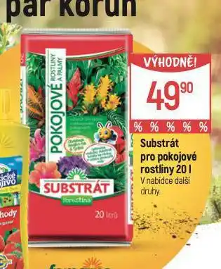 Substrát pro pokojové rostliny