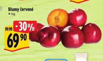 Albert Blumy červené nabídka