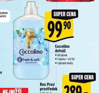 Albert Coccolino aviváž nabídka