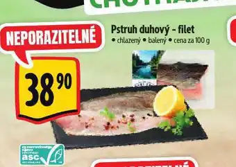 Albert Pstruh duhový nabídka