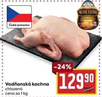 Billa Vodňanská kachna nabídka