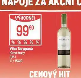 Globus Viňa tarapacá nabídka