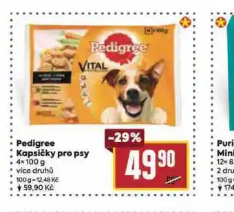Billa Pedigree kapsičky pro psy nabídka