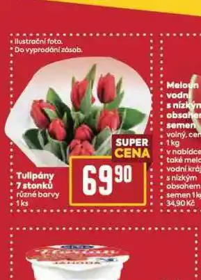 Billa Tulipány 7 stonků nabídka