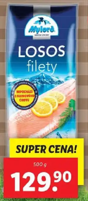 Lidl LOSOS GORBUŠA nabídka
