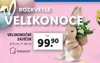 Lidl Velikonoční zajíček nabídka