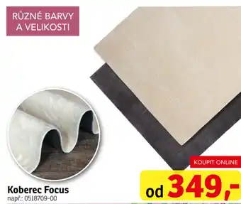 Asko Koberec Focus nabídka