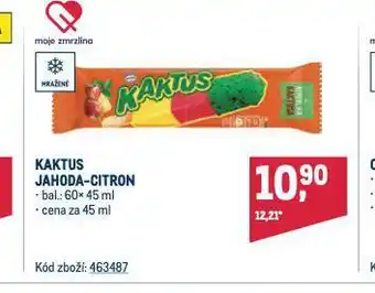 Makro Kaktus zmrzlina nabídka