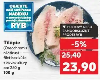 Kaufland Tilápie nabídka