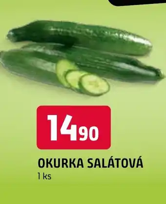 Terno OKURKA SALÁTOVÁ nabídka