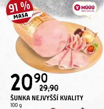 Terno ŠUNKA NEJVYŠŠÍ KVALITY 100 g nabídka