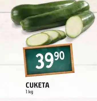 Terno CUKETA nabídka