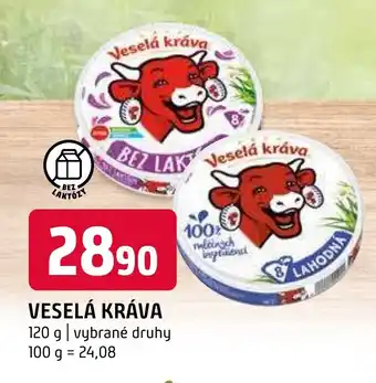 Terno VESELÁ KRÁVA nabídka