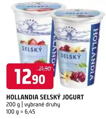 Terno HOLLANDIA SELSKÝ JOGURT nabídka