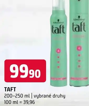 Terno TAFT nabídka