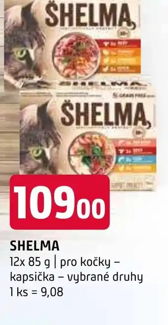 Terno SHELMA nabídka