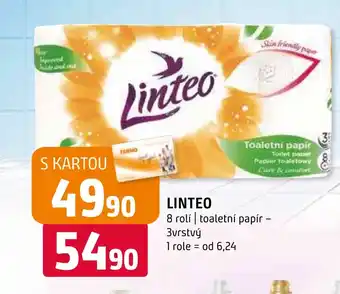 Terno LINTEO nabídka