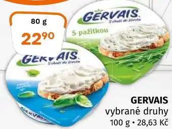 Terno GERVAIS nabídka