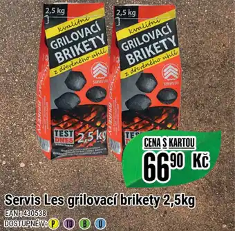 Tamda Foods Servis Les grilovací brikety 2,5kg nabídka