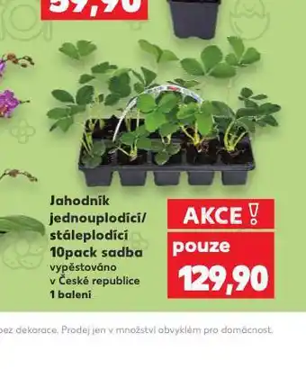 Jahodník
